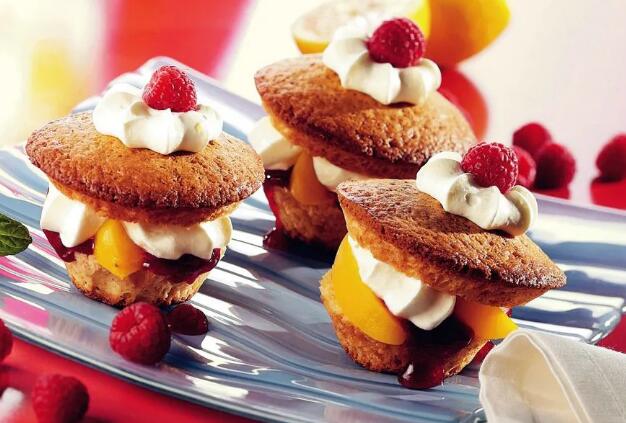 ��ʽ����